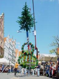 Fast steht er schon - der Maibaum!